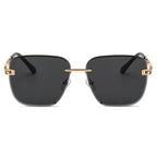Frameless Trimming Square Sunglasses - Viexta