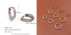 Rounded Edge Zircon Earrings - Viexta