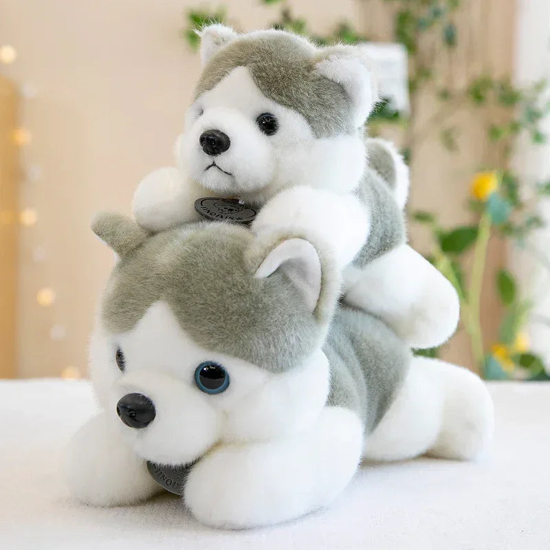 Husky Doll Plush Toys - Viexta