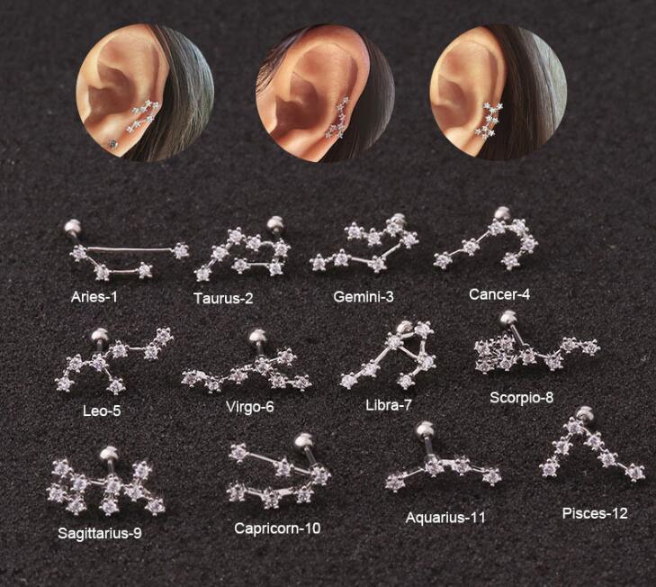 Twelve Constellation Stainless Steel Stud Earrings - Viexta
