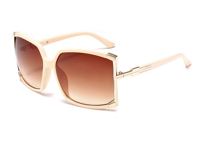 Large Frame Square Sunglasses