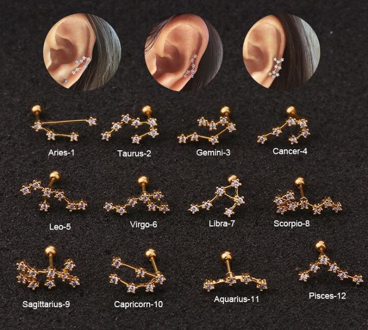 Twelve Constellation Stainless Steel Stud Earrings - Viexta