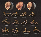 Twelve Constellation Stainless Steel Stud Earrings - Viexta