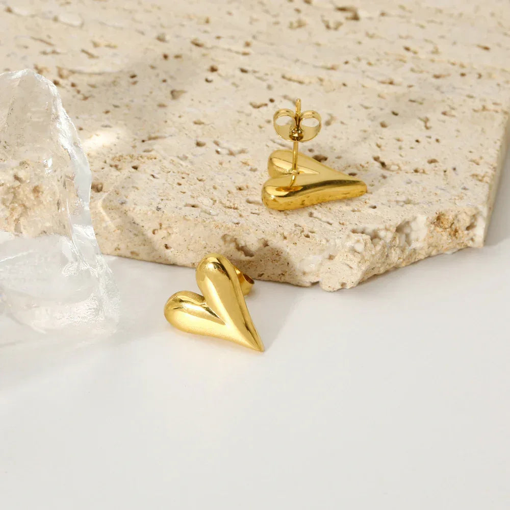 Titanium Steel Heart Studs - Viexta
