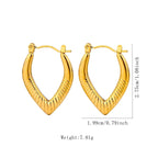 Stainless Steel Hoops - Viexta