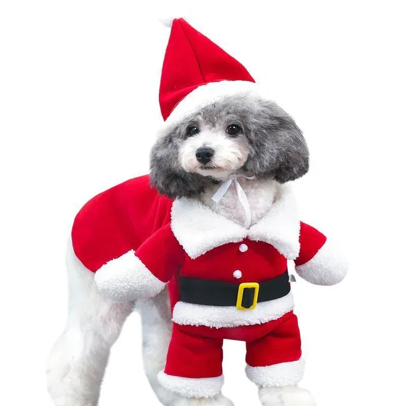 Pet Christmas Decoration Costume - Viexta