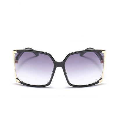 Large Frame Square Sunglasses