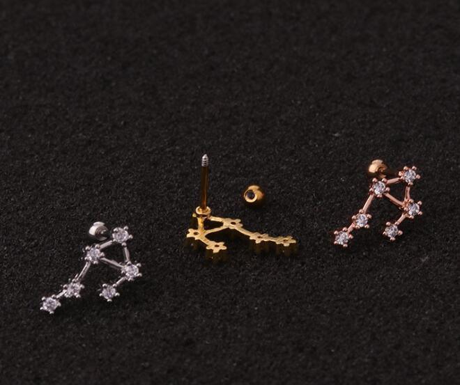 Twelve Constellation Stainless Steel Stud Earrings - Viexta