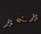 Twelve Constellation Stainless Steel Stud Earrings - Viexta