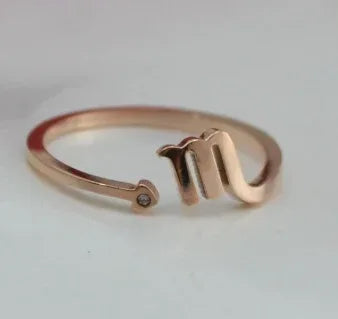 Stainless Steel 12 constellation ring - Viexta