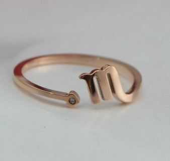 Stainless Steel 12 constellation ring