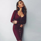 Spring Bodycon Long Sleeve Party Cocktail Dresses - Viexta