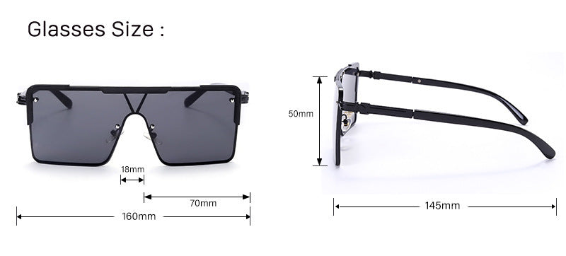 Square Modern Sunglasses