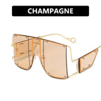 Thin Sunglasses Net Celebrity Street Shooting Thick Edges