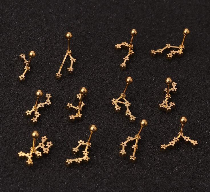Twelve Constellation Stainless Steel Stud Earrings - Viexta