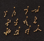 Twelve Constellation Stainless Steel Stud Earrings - Viexta