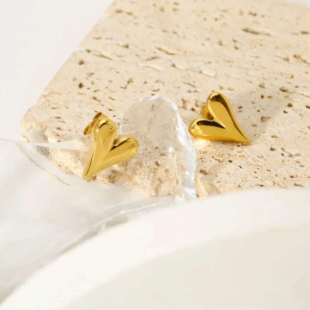 Titanium Steel Heart Studs - Viexta