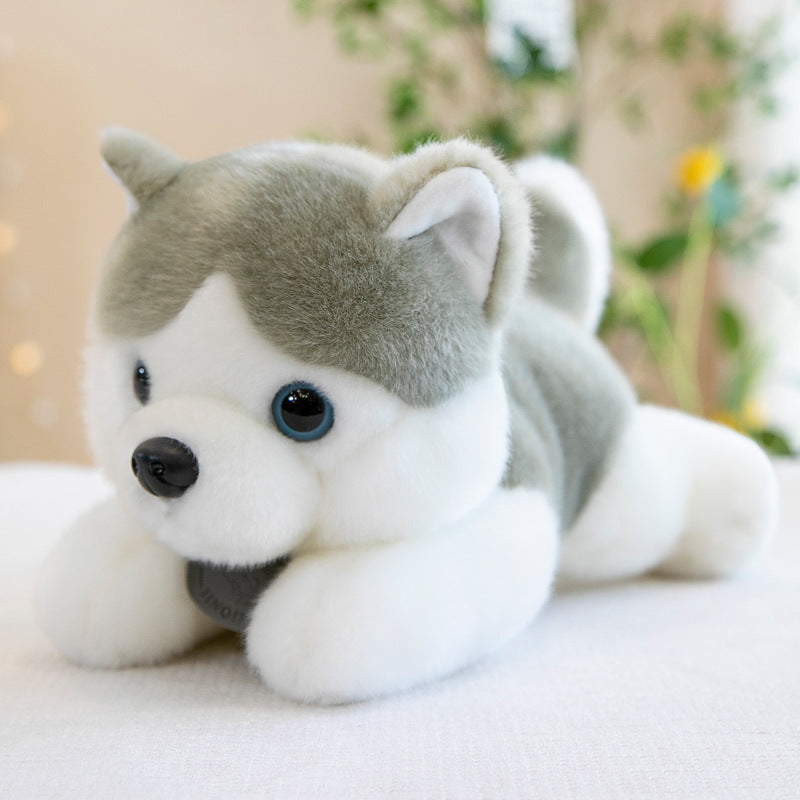 Husky Doll Plush Toys