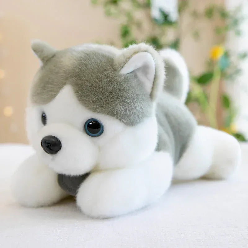 Husky Doll Plush Toys - Viexta