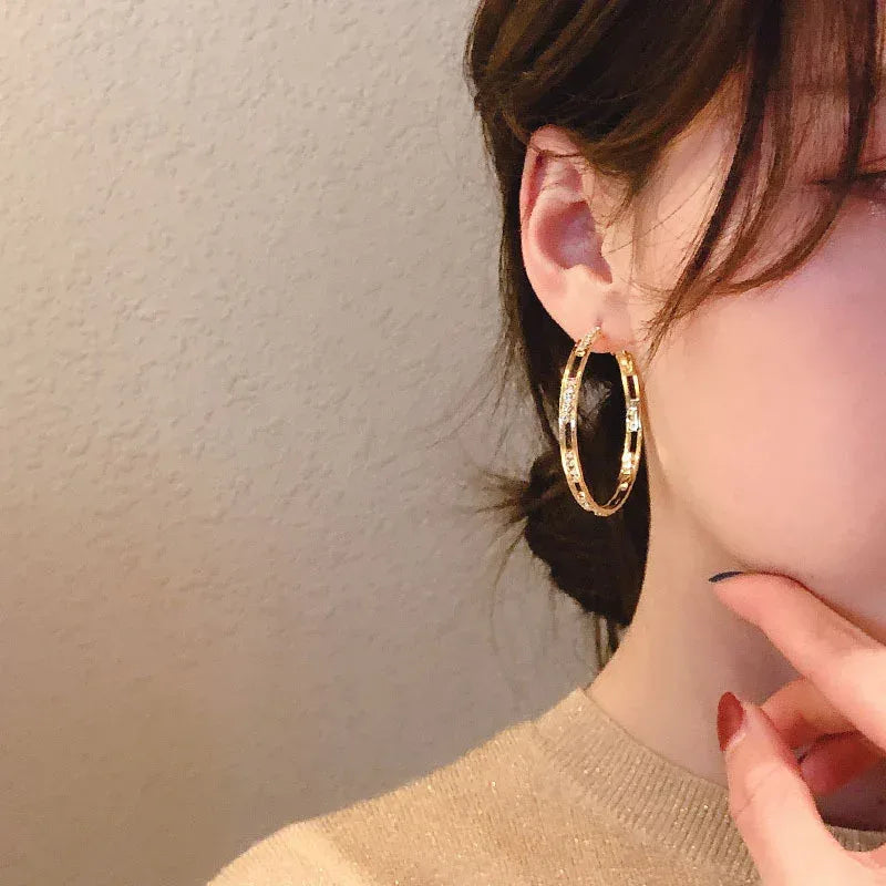 S925 exquisite micro-inlaid zircon net earrings - Viexta