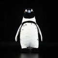 Penguin Plush Toy - Viexta