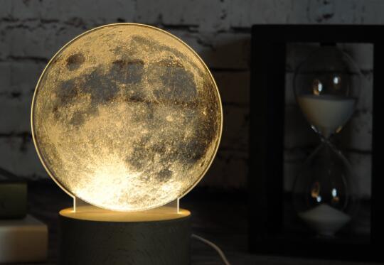 Jellyfish LED Touch Bedroom Light - Viexta