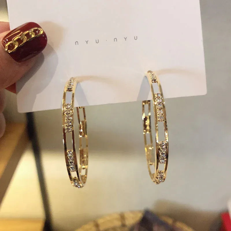 S925 exquisite micro-inlaid zircon net earrings - Viexta