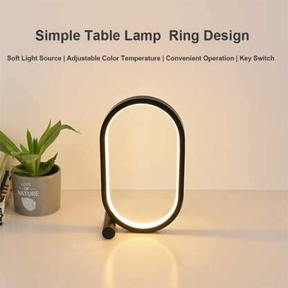 Oval Acrylic Touch Lamp