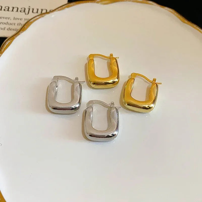 Niche Normcore Earrings - Viexta