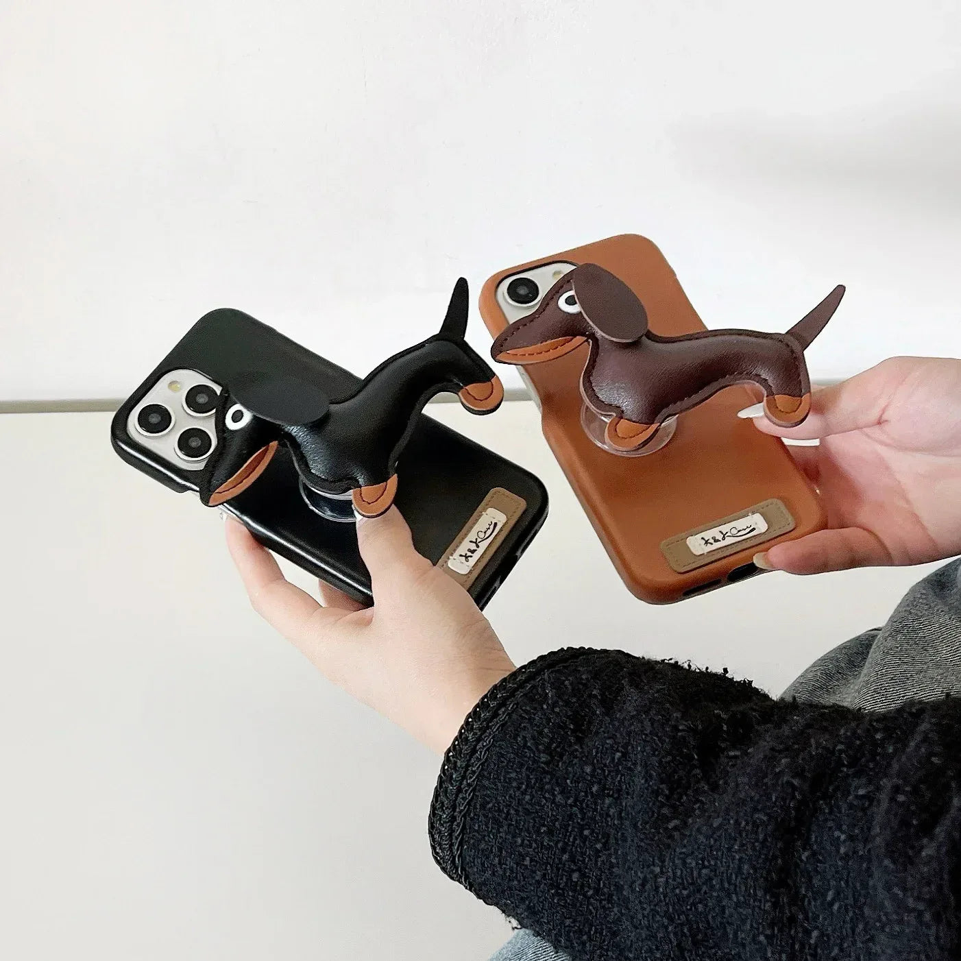 Dachshund iPhone Case - Viexta