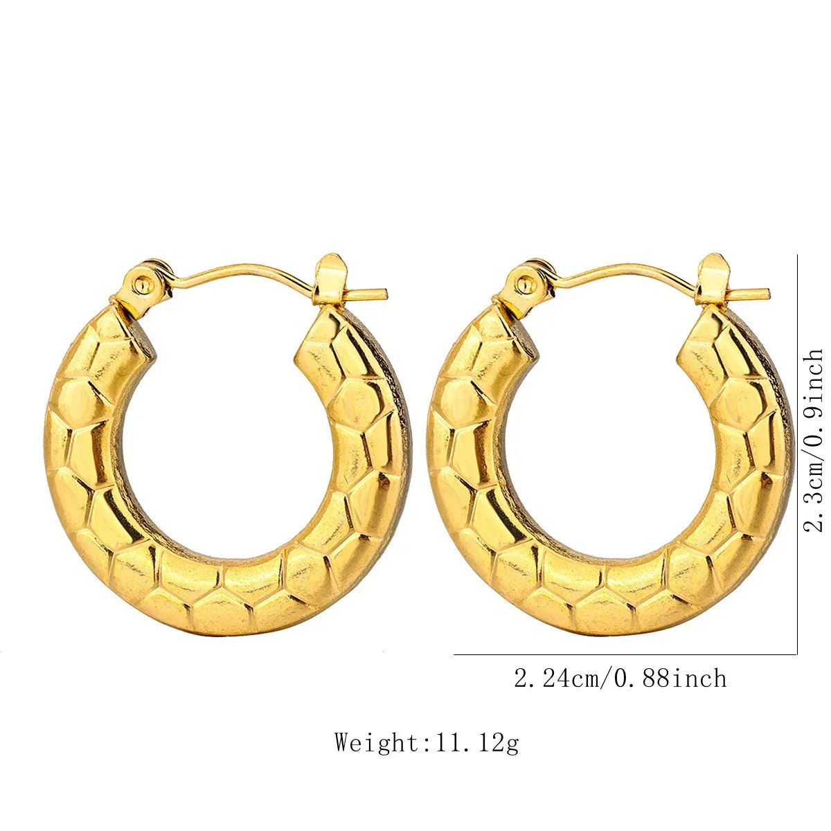 Stainless Steel Hoops - Viexta