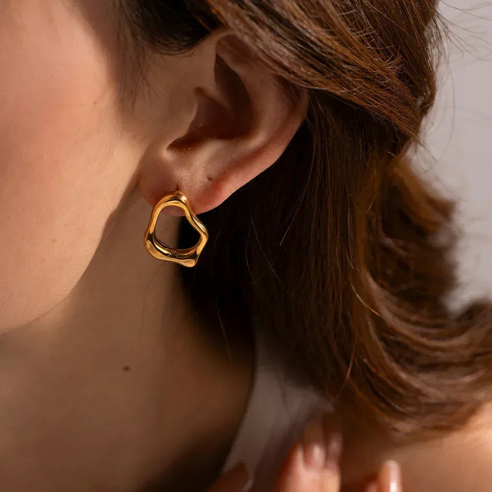 Geometric Niche Earrings - Viexta