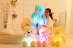 Creative Light Up LED Teddy Bear - Viexta