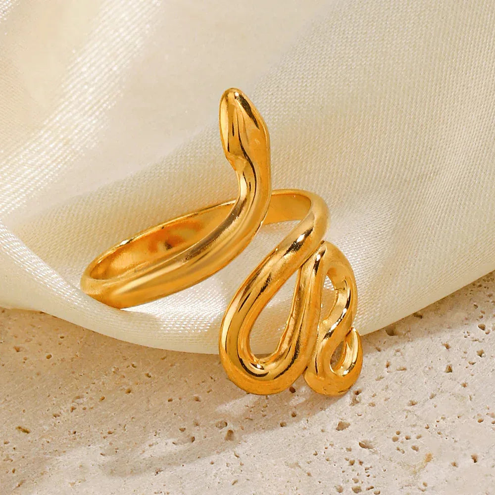 Stainless Steel Snake Earrings - Viexta