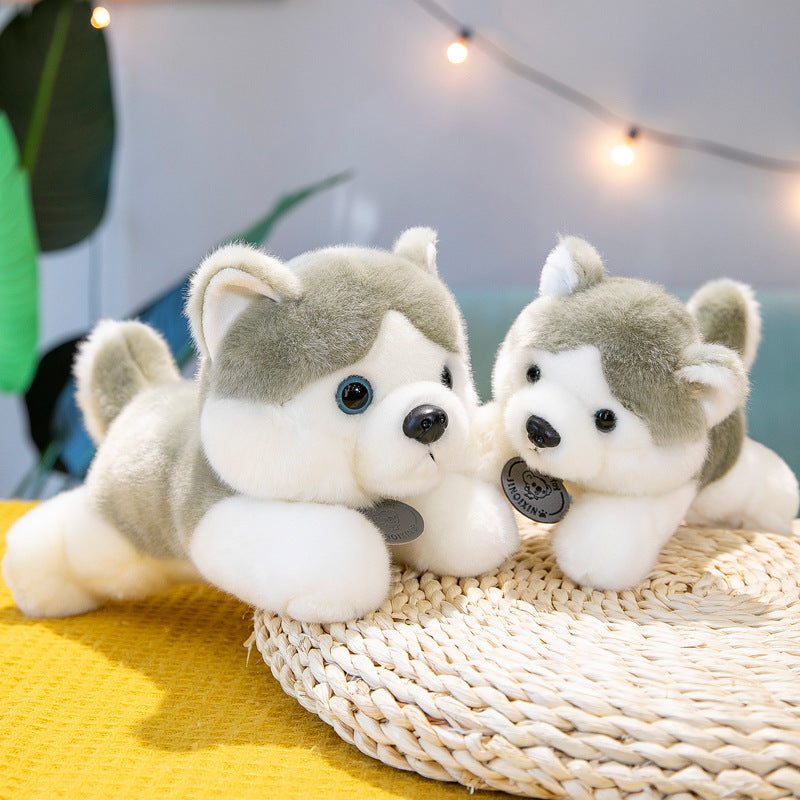 Husky Doll Plush Toys