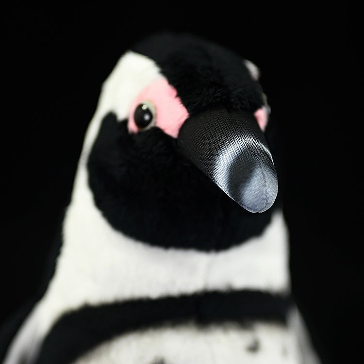 Penguin Plush Toy