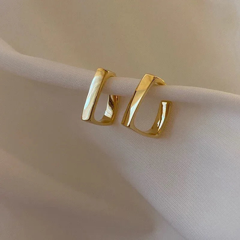 personalized-metal-high-grade-retro-earrings - Viexta