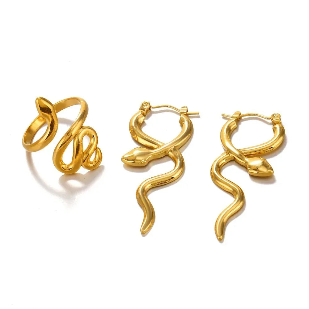 Stainless Steel Snake Earrings - Viexta
