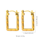 Stainless Steel Hoops - Viexta