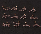 Twelve Constellation Stainless Steel Stud Earrings - Viexta