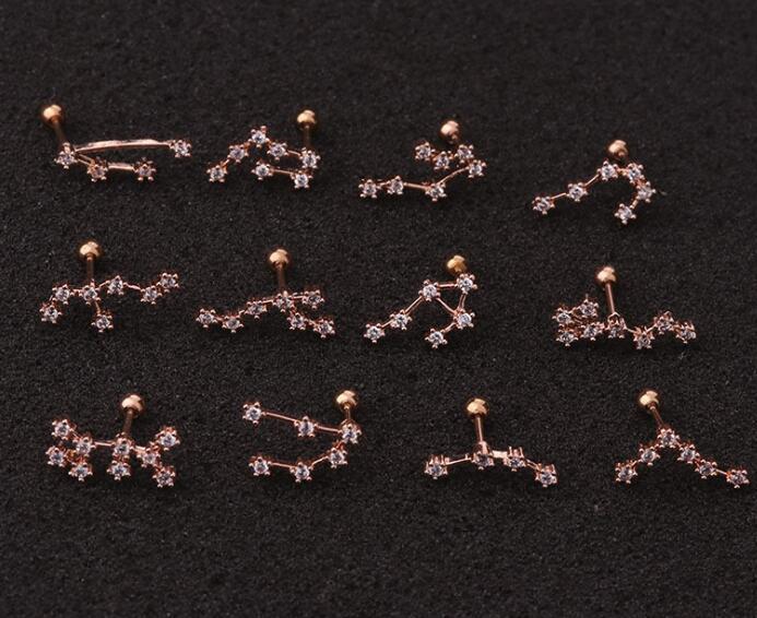 Twelve Constellation Stainless Steel Stud Earrings