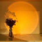 Wireless Closet Kitchen Lights - Viexta