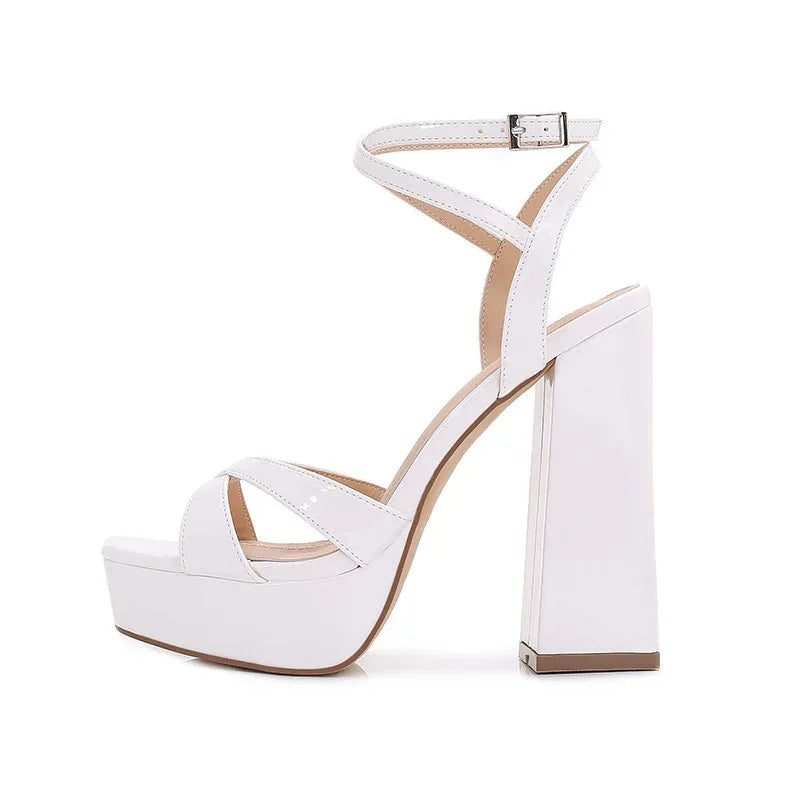 Thick Heel Waterproof Platform High Heels - Viexta