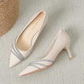 Pointed Stiletto Classy Heels - Viexta