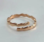 Stainless Steel 12 constellation ring - Viexta