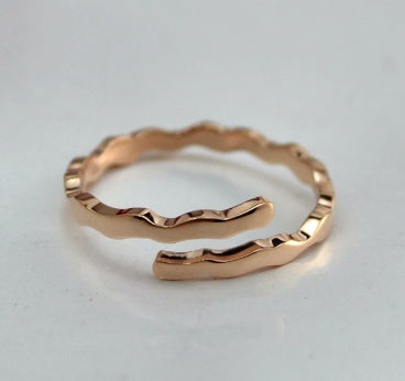 Stainless Steel 12 constellation ring