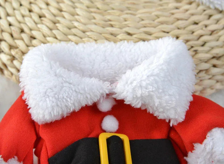 Pet Christmas Decoration Costume - Viexta