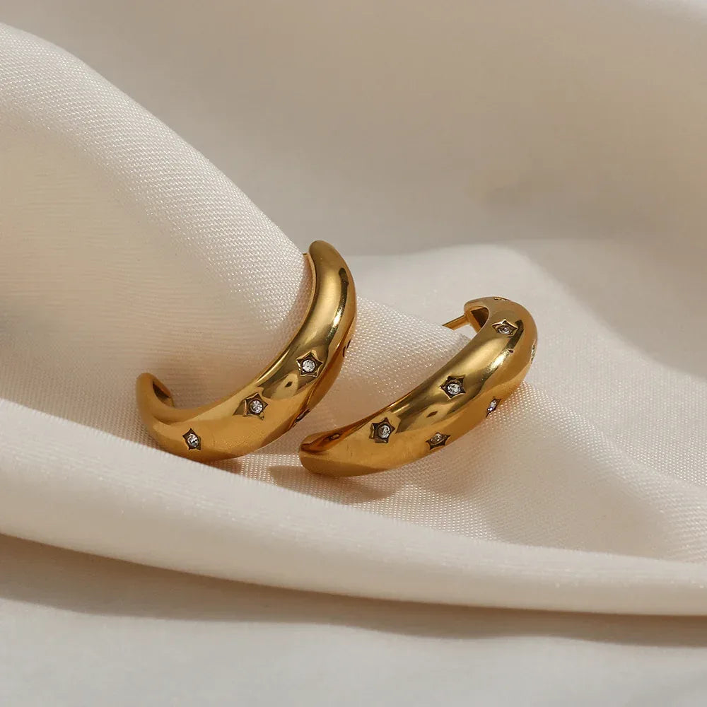 Zircon Moon Earrings - Viexta