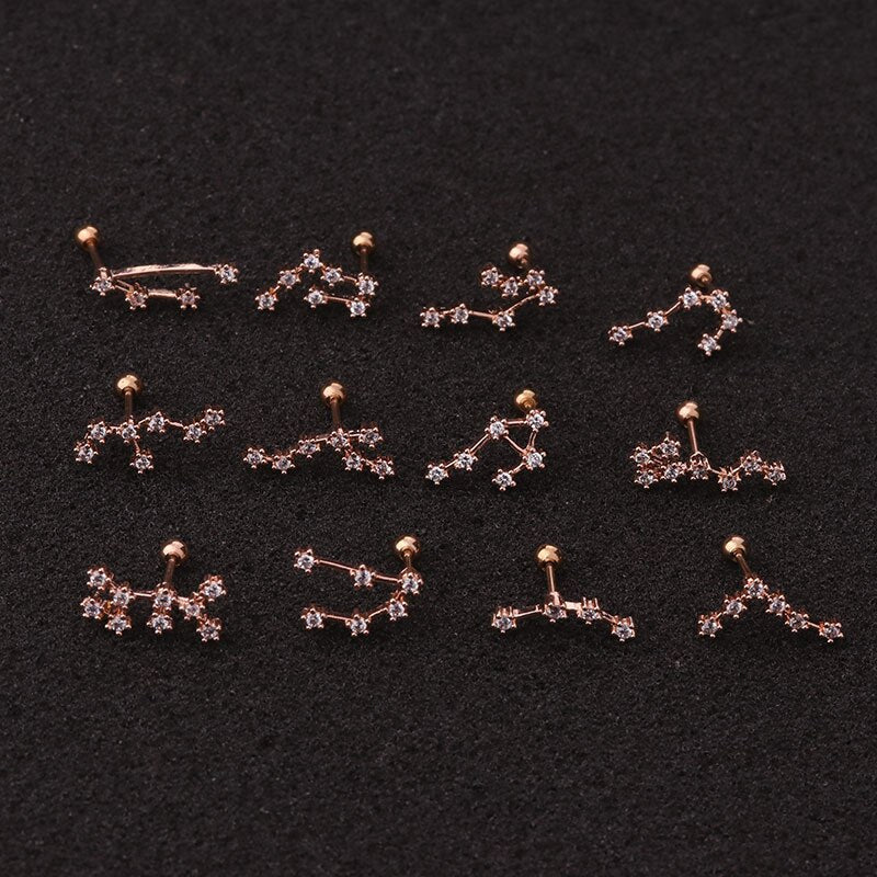 1Pcs Twelve Constellation Cartilage Earring Stainless Steel CZ Stud Earring Cartilage Helix Lobe Screw Back Ear Piercing Jewelry