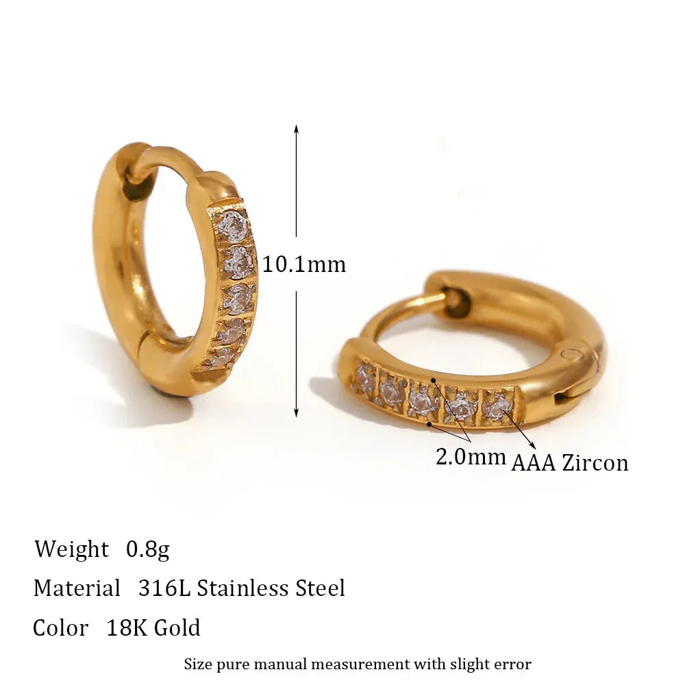 Rounded Edge Zircon Earrings - Viexta